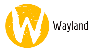 عیب یابی خطاهای Wayland: راهکارهای مؤثر برای نشست‌های گرافیکی نوین