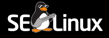 عیب یابی SELinux: کشف چالش‌های سیاست‌های امنیتی در کانتینرها